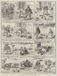 一日のスポーツ、ウサギの後のミスター・ストッジ